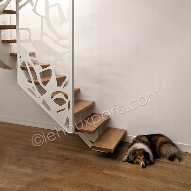 photo-escalier-bois-metal-portrait-chien-duplex paris LEHOUX-PARIS