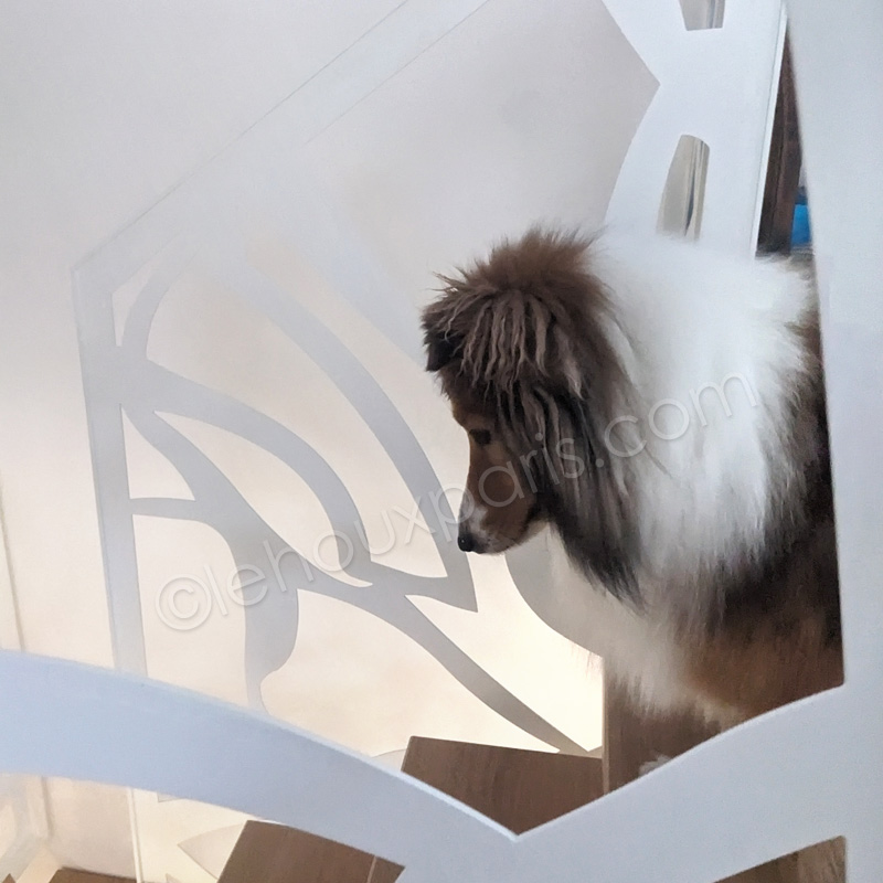 photo-escalier-bois-metal-portrait-chien-duplex paris LEHOUX-PARIS